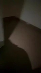 冬至玩嫂小子