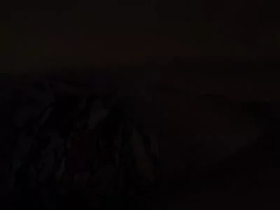 花季v3.087